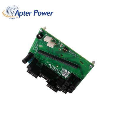 8C-TAIM01 51306999-175